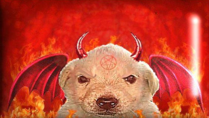 evil_labrador
